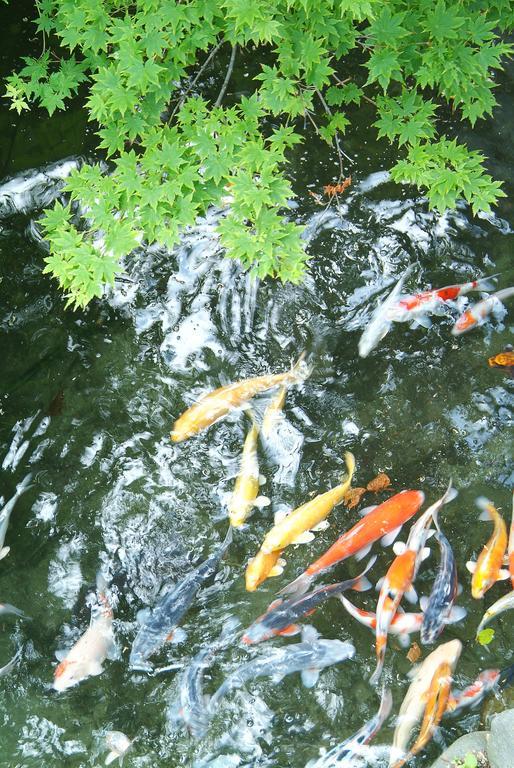 Kaikake Onsen Ξενοδοχείο Yuzawa  Εξωτερικό φωτογραφία
